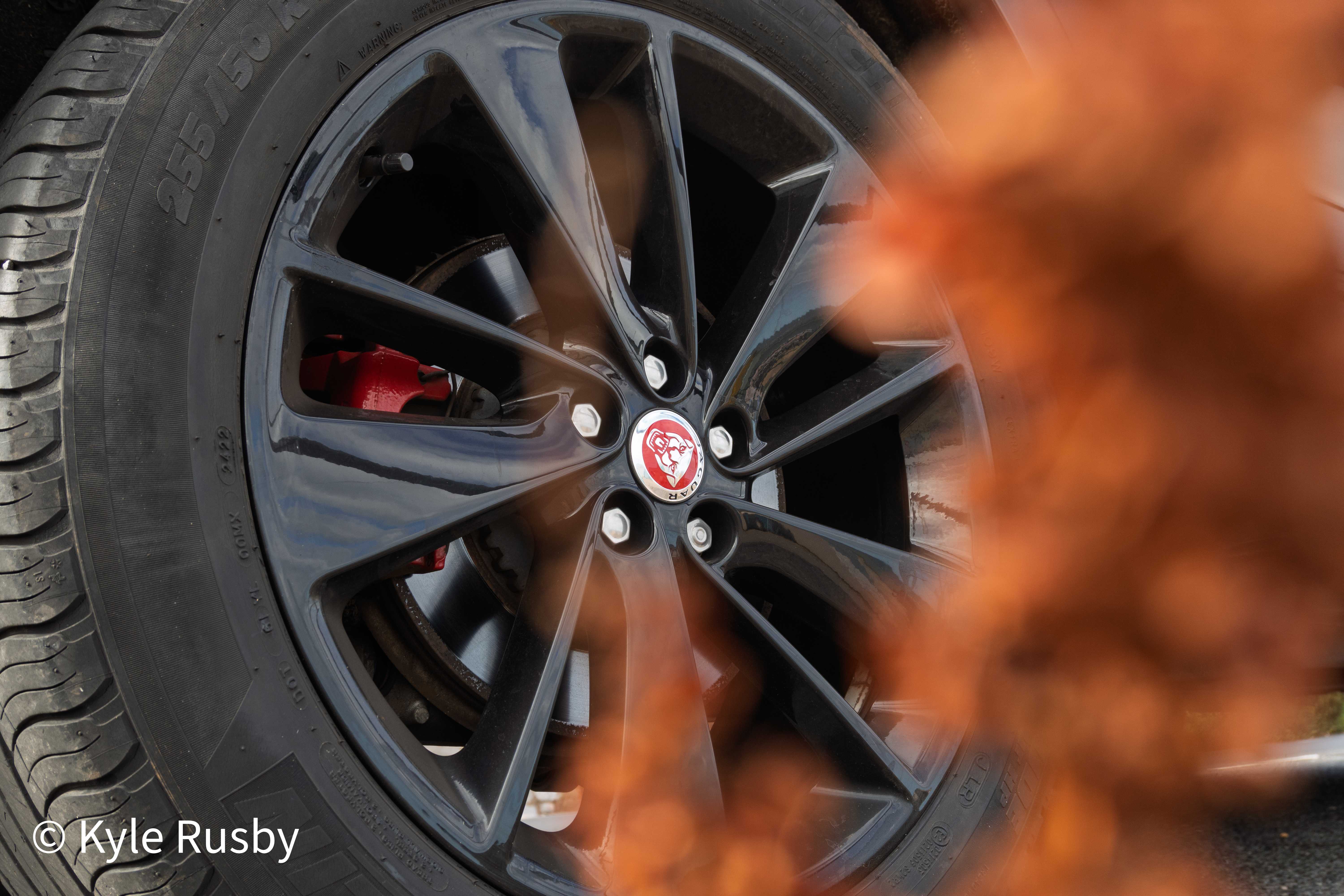 Close-up of a dark grey Jaguar alloy wheel and red brake caliper, photographed through out-of-focus copper-coloured foliage