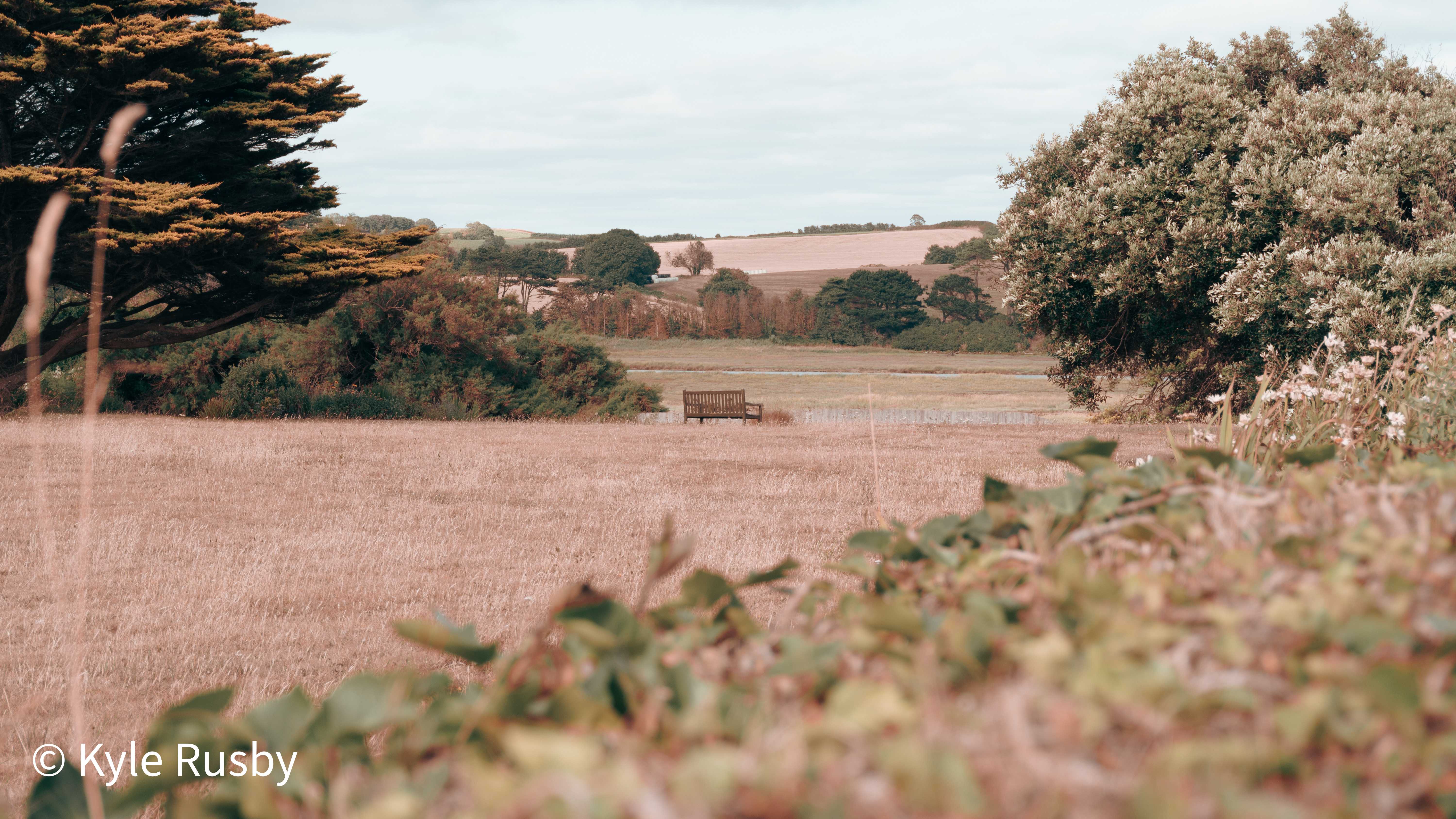 An empty wooden bench in a dry summer meadow overlooking a glimpse of estuary water, seen across a soft hedgerow of leaves and seed heads
