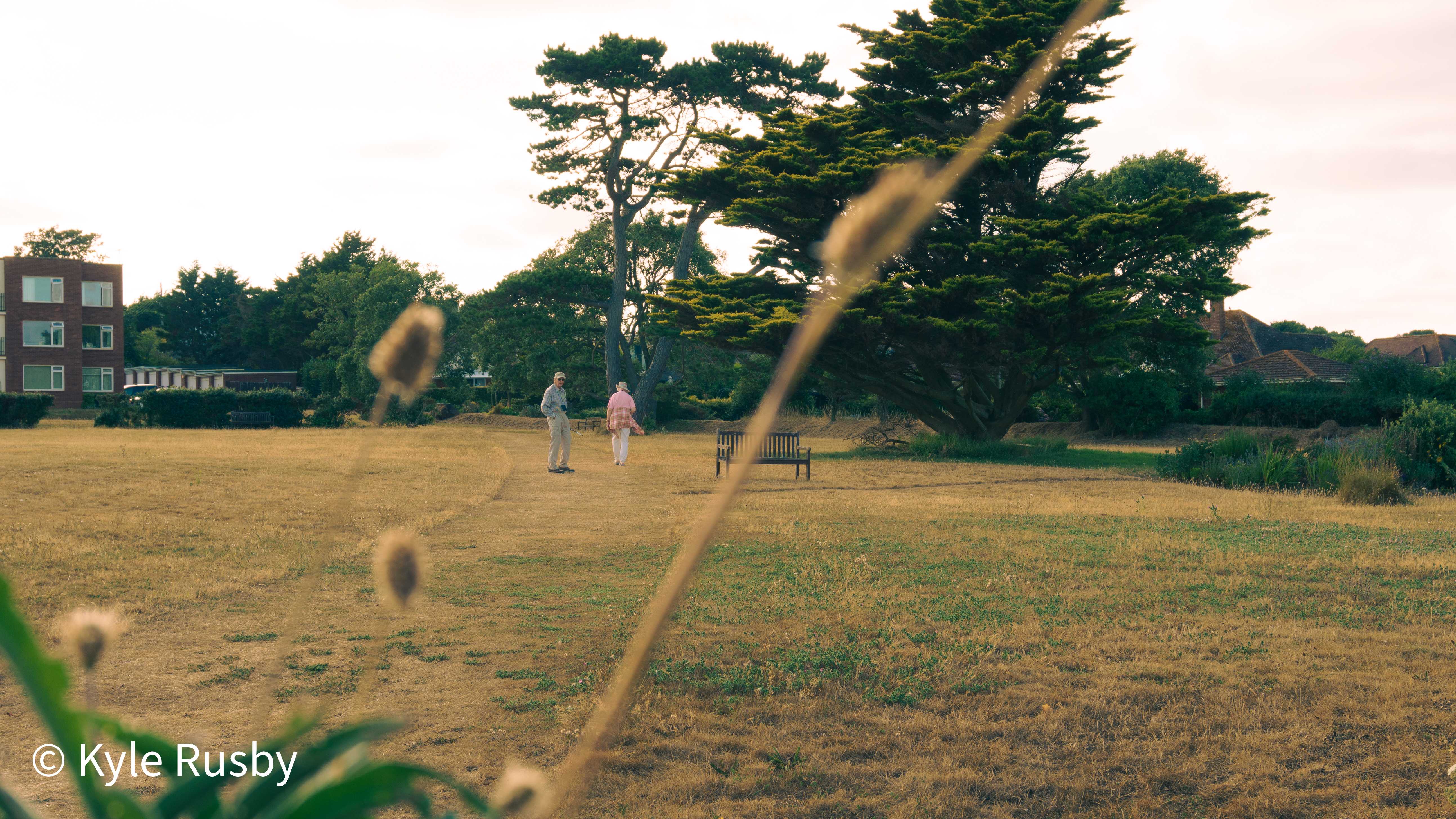 The same couple a few paces on, pausing mid-conversation on the green, the seed heads sharper in the warm evening light