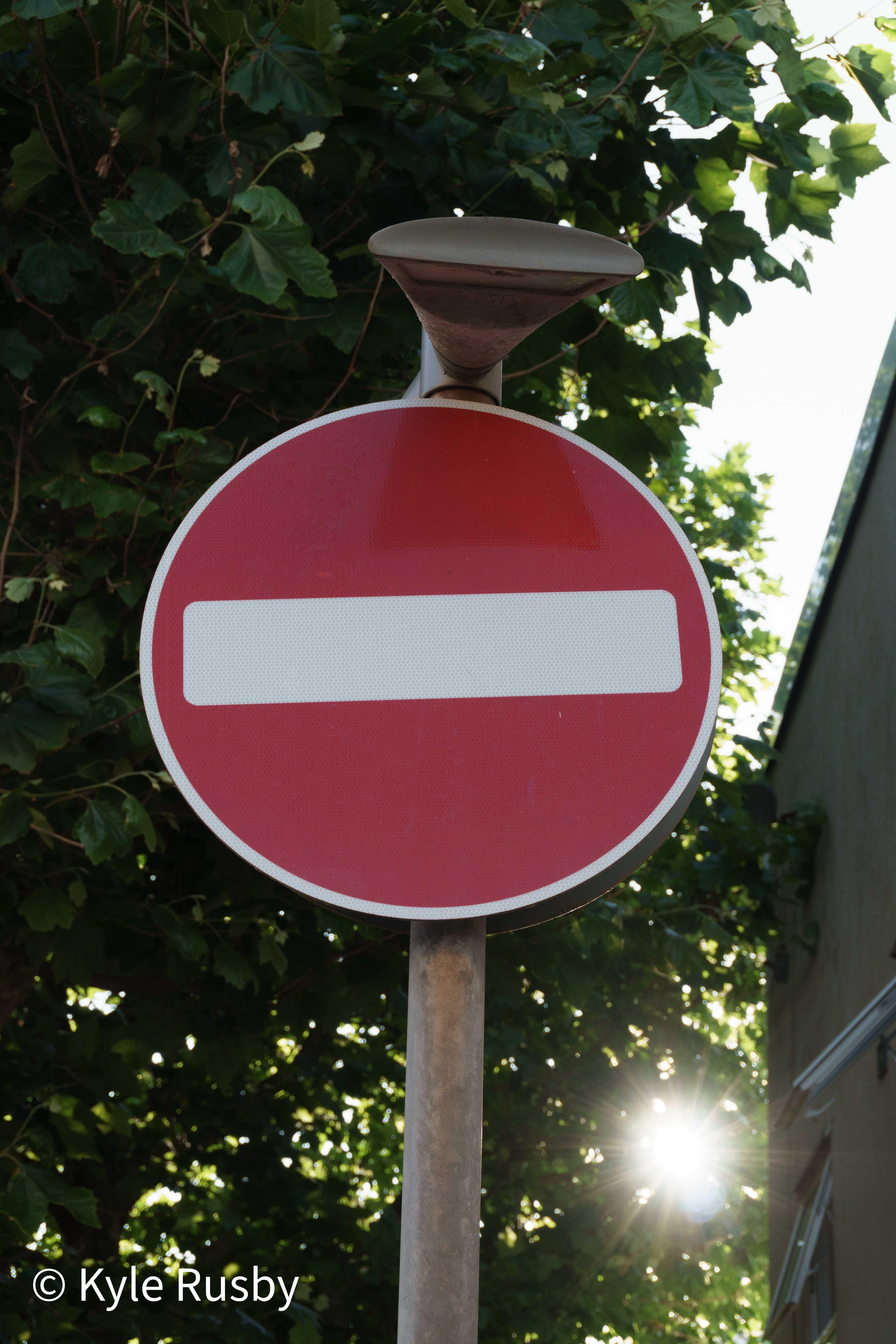 A round red No Entry sign on a weathered pole in front of backlit foliage, the low sun flaring through leaves beside a house gable
