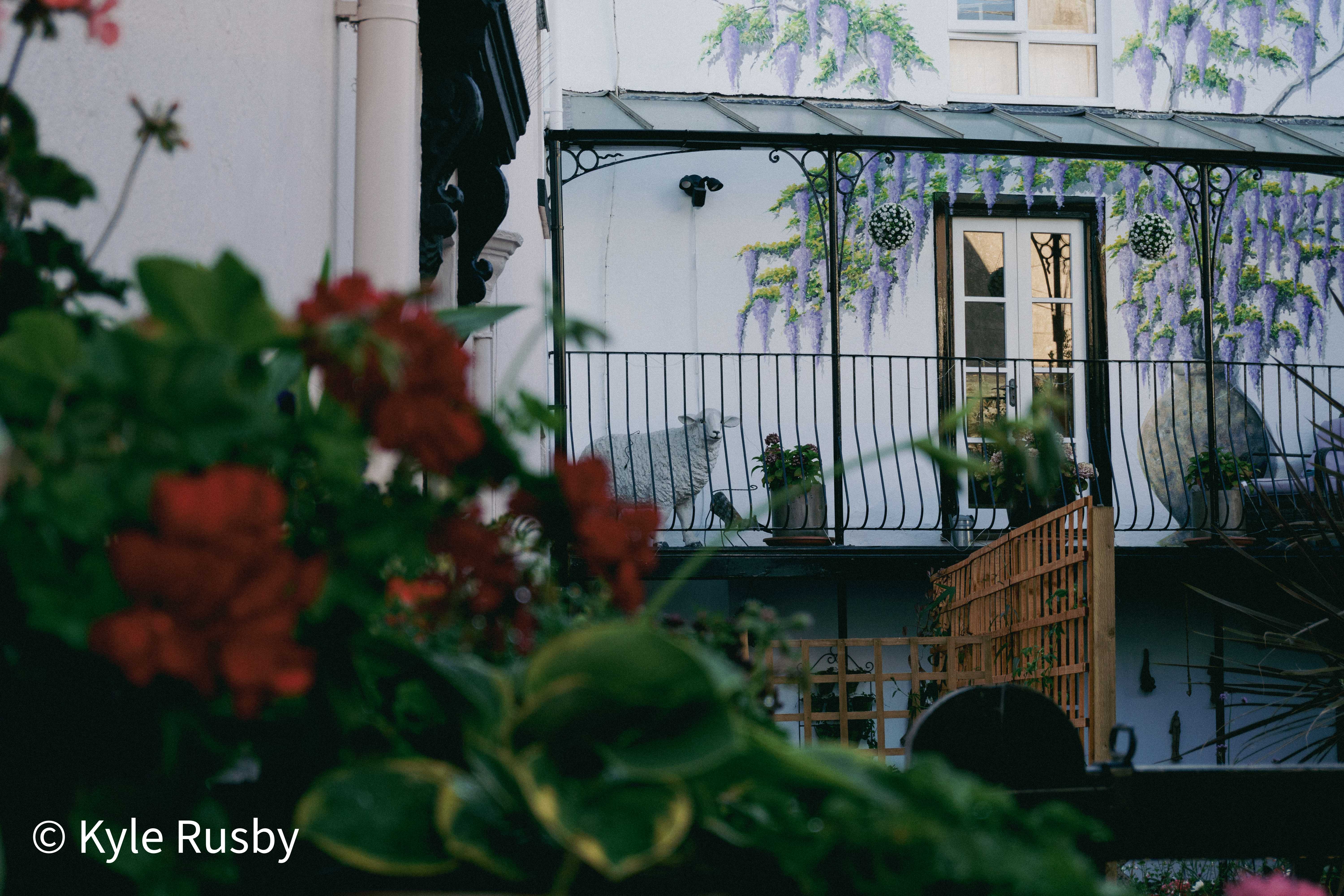 A white townhouse wall painted with a wisteria mural behind a black iron balcony, red geraniums blurred in the foreground