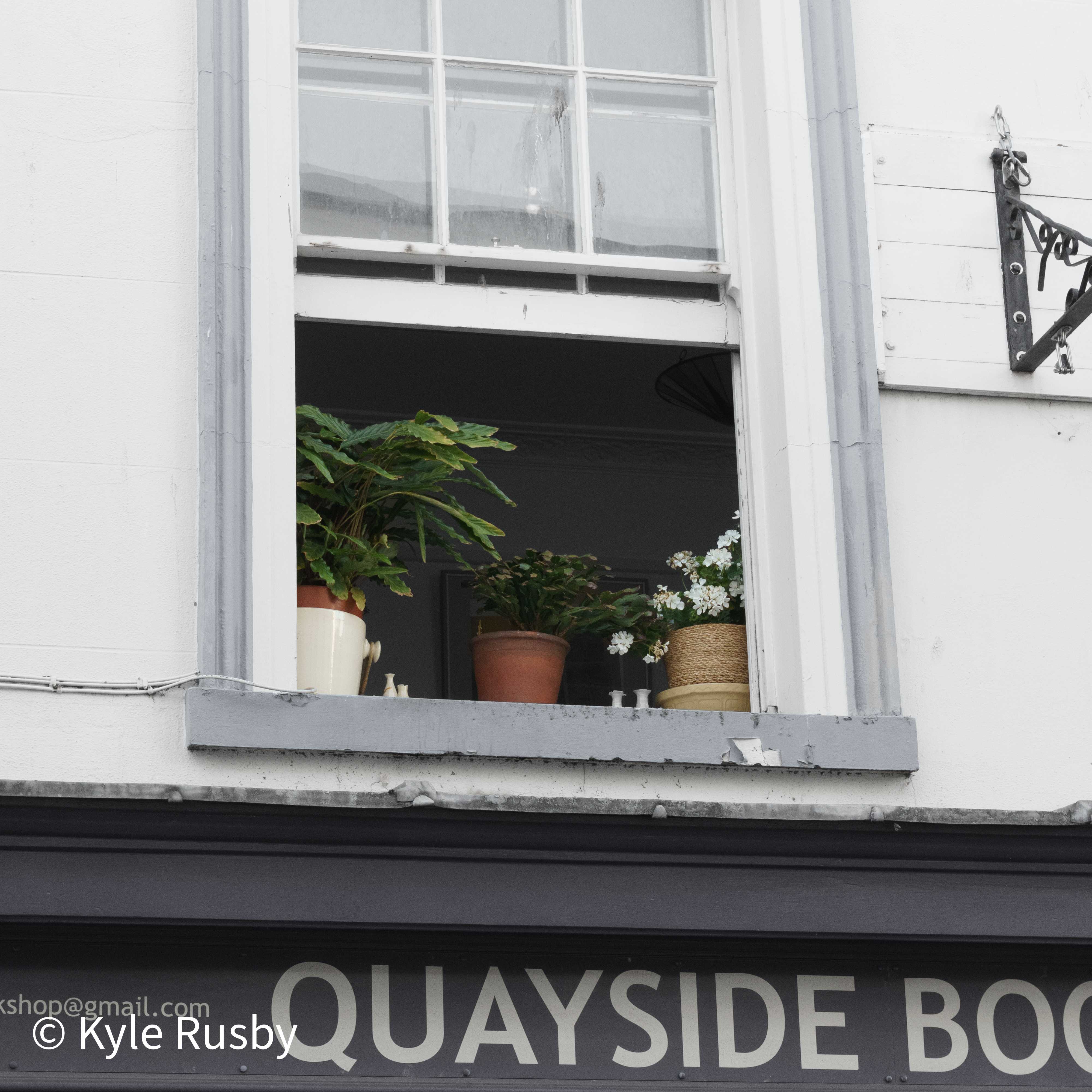 Potted plants on the sill of an open sash window above the painted "Quayside Bookshop" sign of a white quayside building