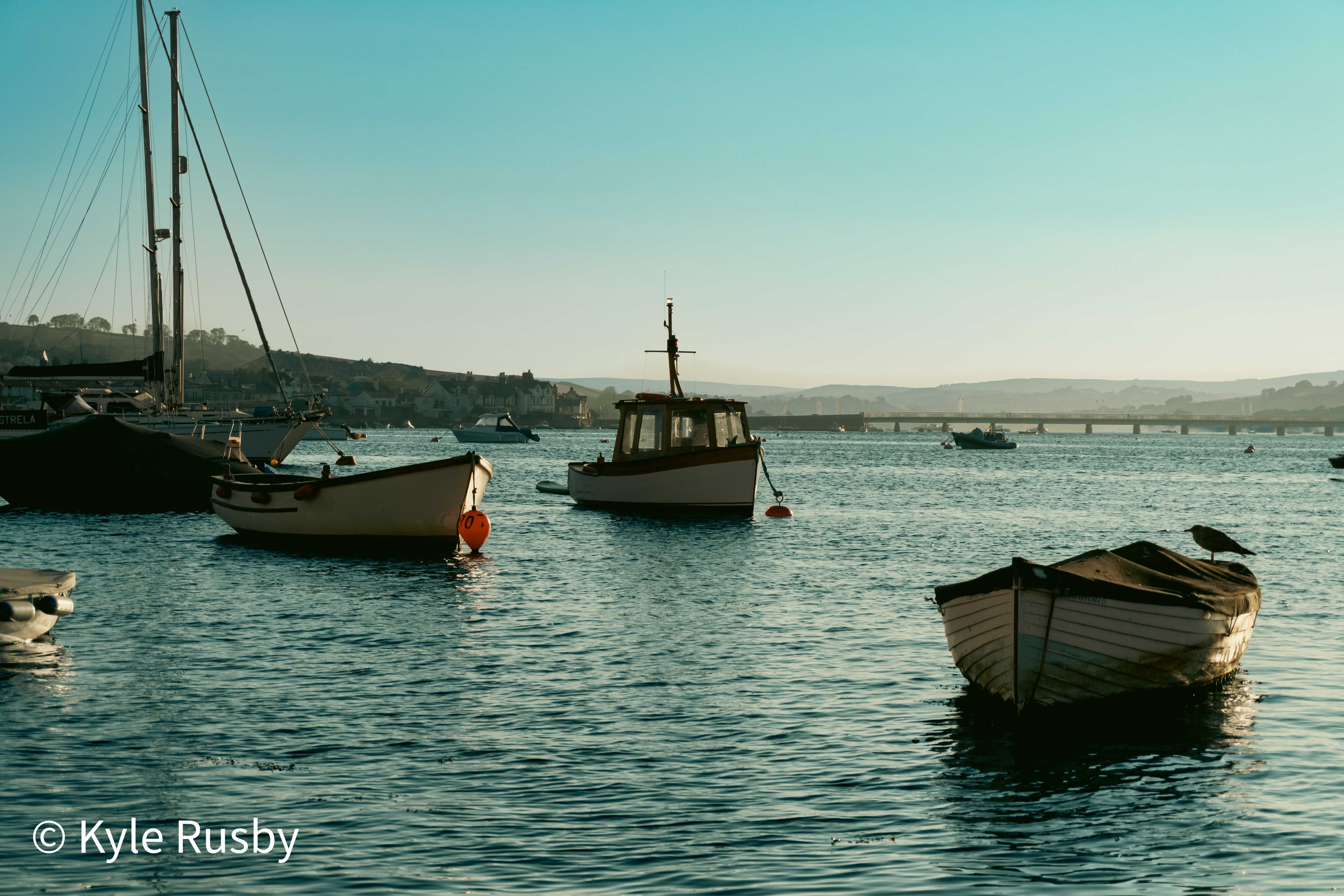 Moored wooden boats on calm blue evening water, a heron standing on the stern of the nearest rowing boat, a long low bridge crossing the estuary behind