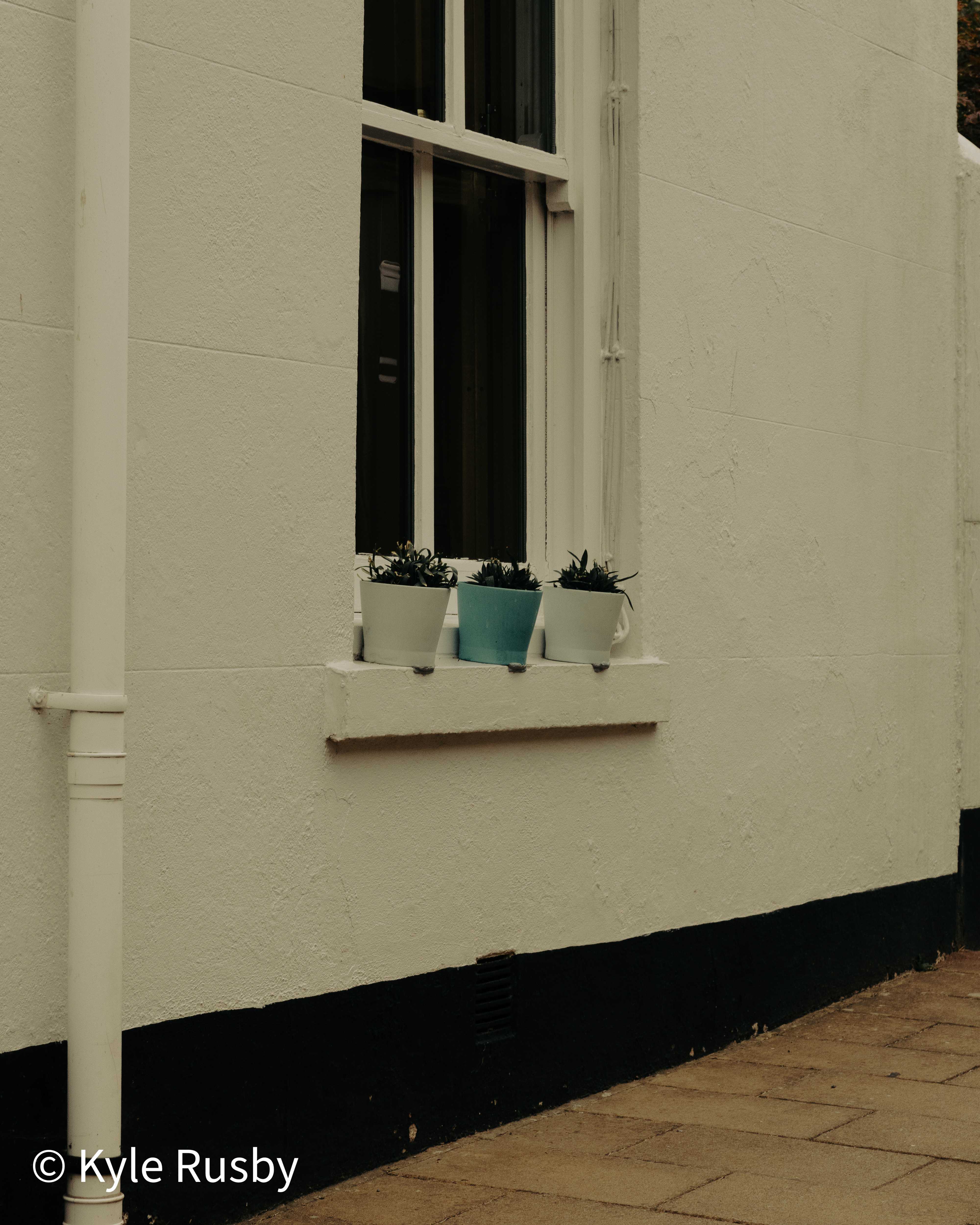 Three small planters — two white, one blue — lined up on the sill of a sash window in a cream rendered wall above a black-painted plinth